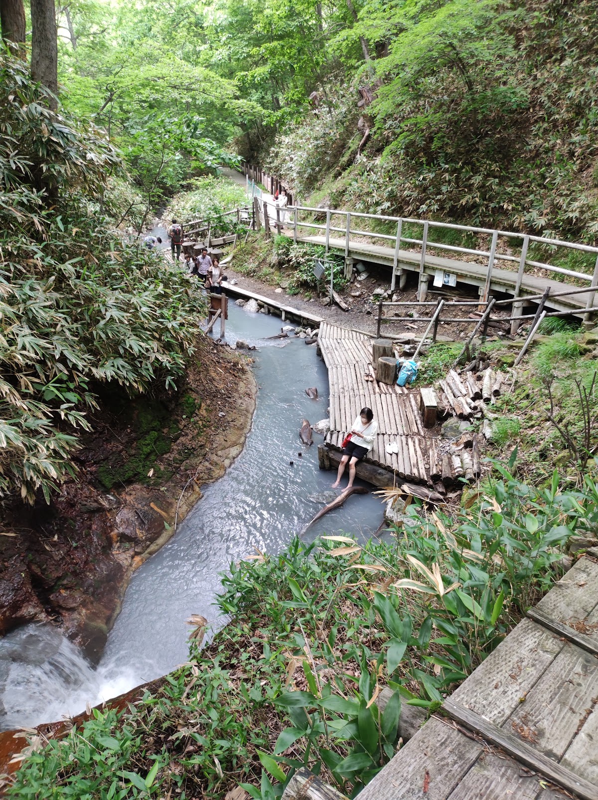 大湯沼川天然足湯の写真 3