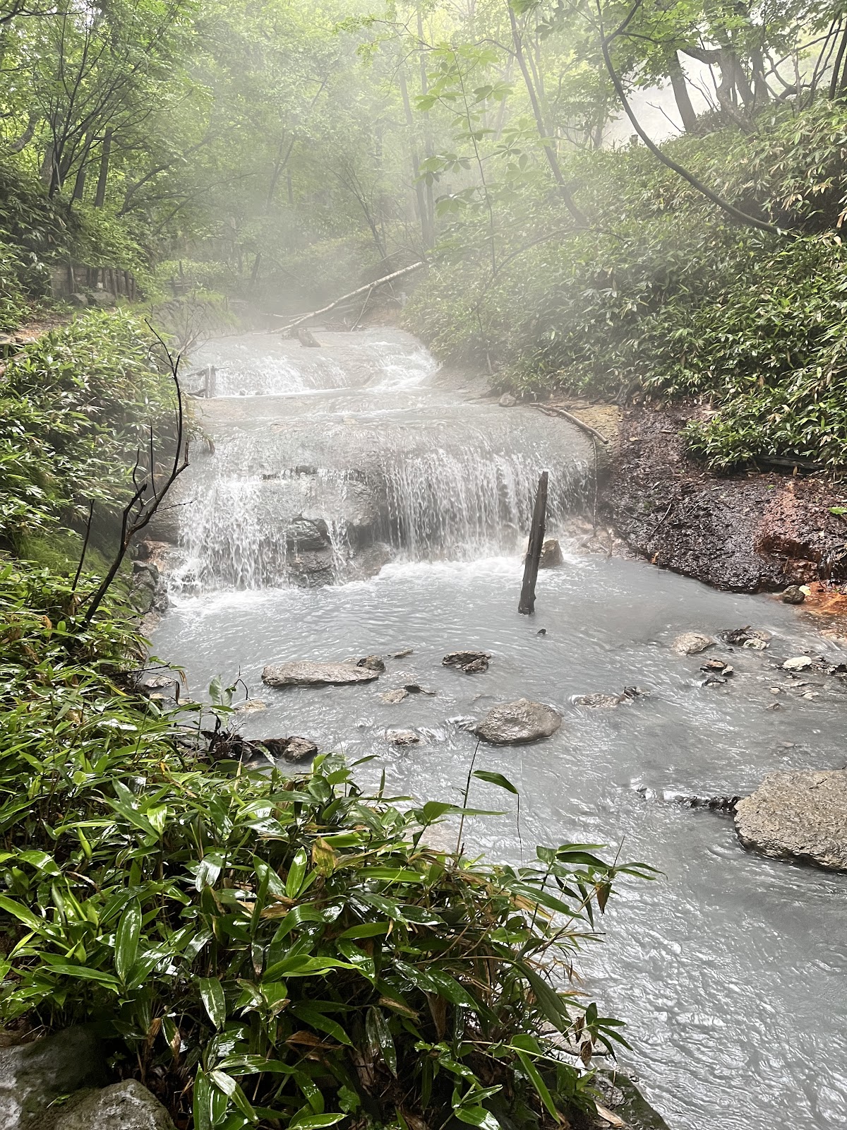 大湯沼川天然足湯の写真 4
