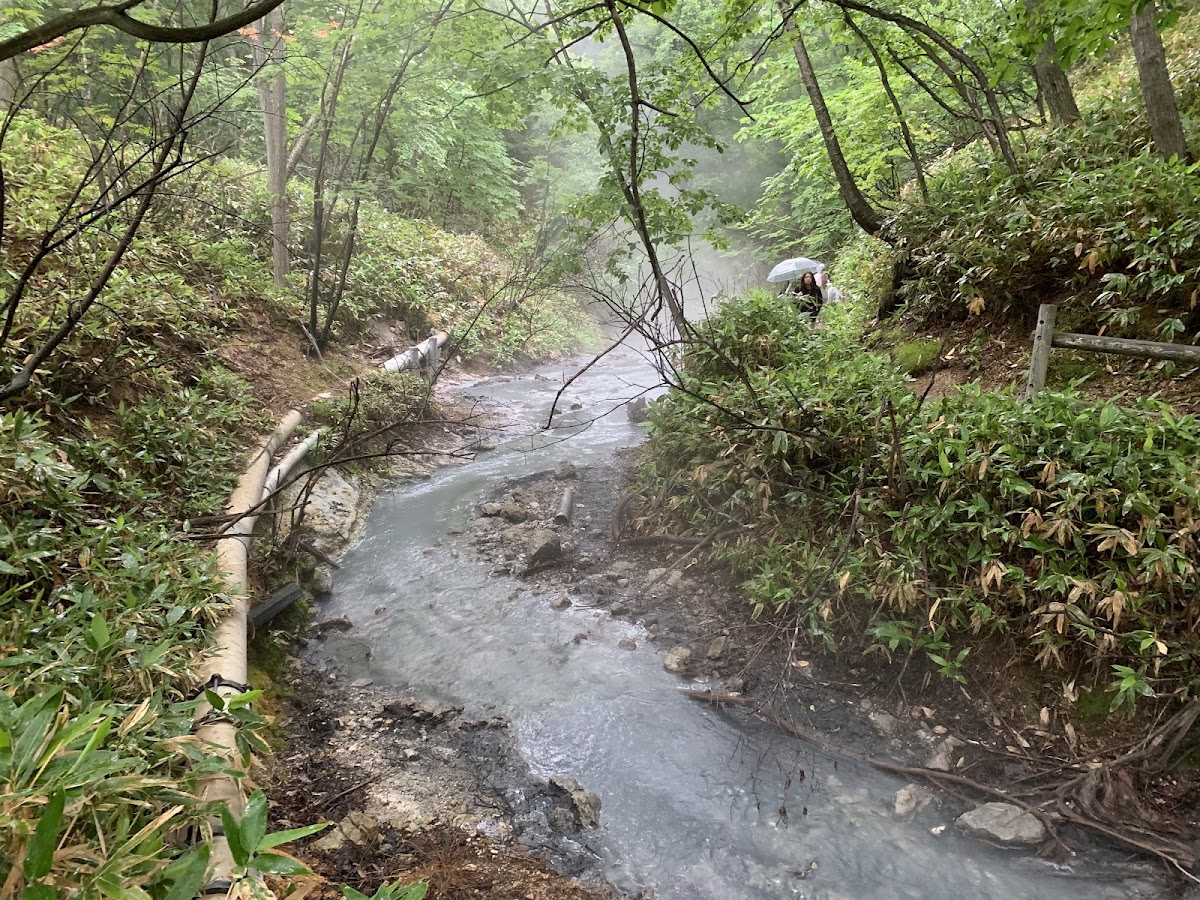 大湯沼川天然足湯の写真 5