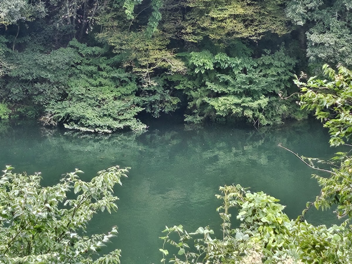 さぷらす 【絶景露天風呂と本格サウナ】の写真 3